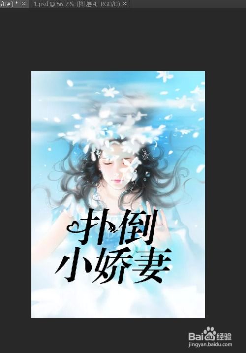 将军夫人又跑了